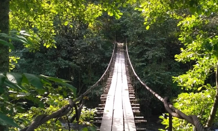 Mtirala National Park