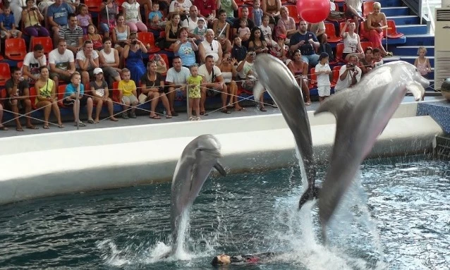 Dolphinarium Varna