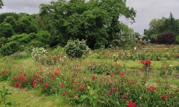 Bucharest Botanical Garden