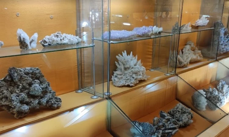 National Geological Museum Bucharest