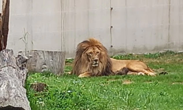 Sarajevo Zoo