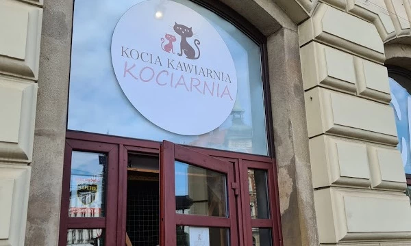 Cat Café Kociarnia - Krakow Coffee & Tea - HappyCow